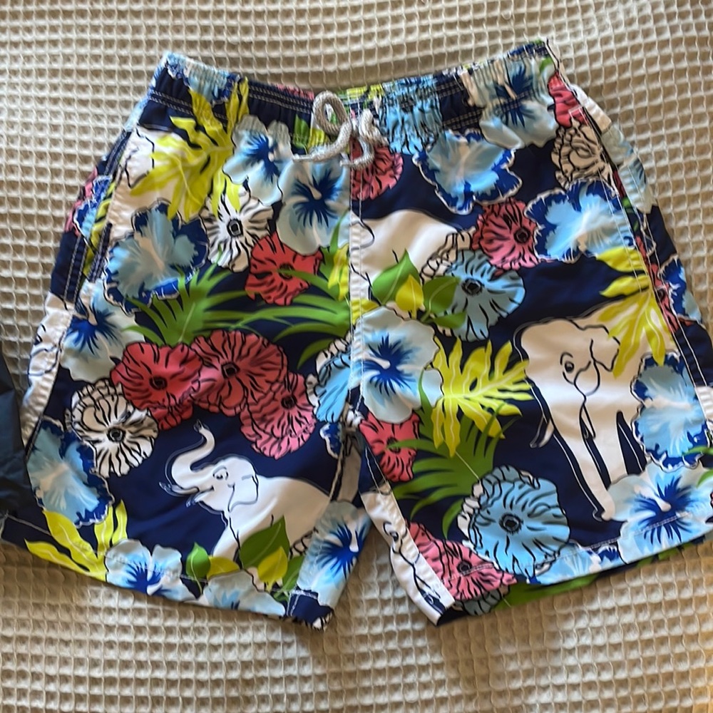 Vilebrequin swim trunks 12